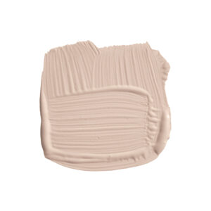 Setting Plaster  No. 231