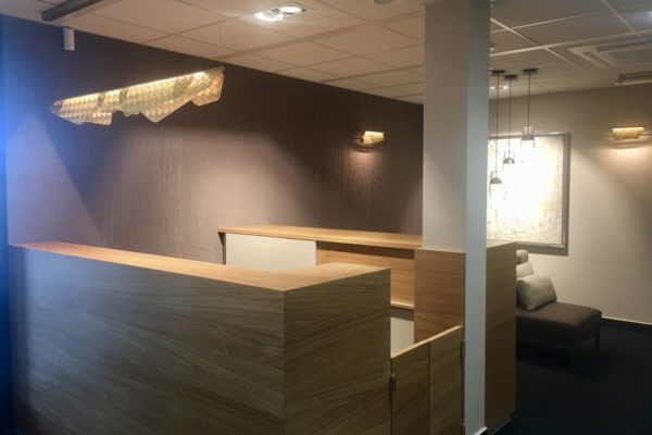 Vanina henry_projekt Luxembourg_office design-homestaging