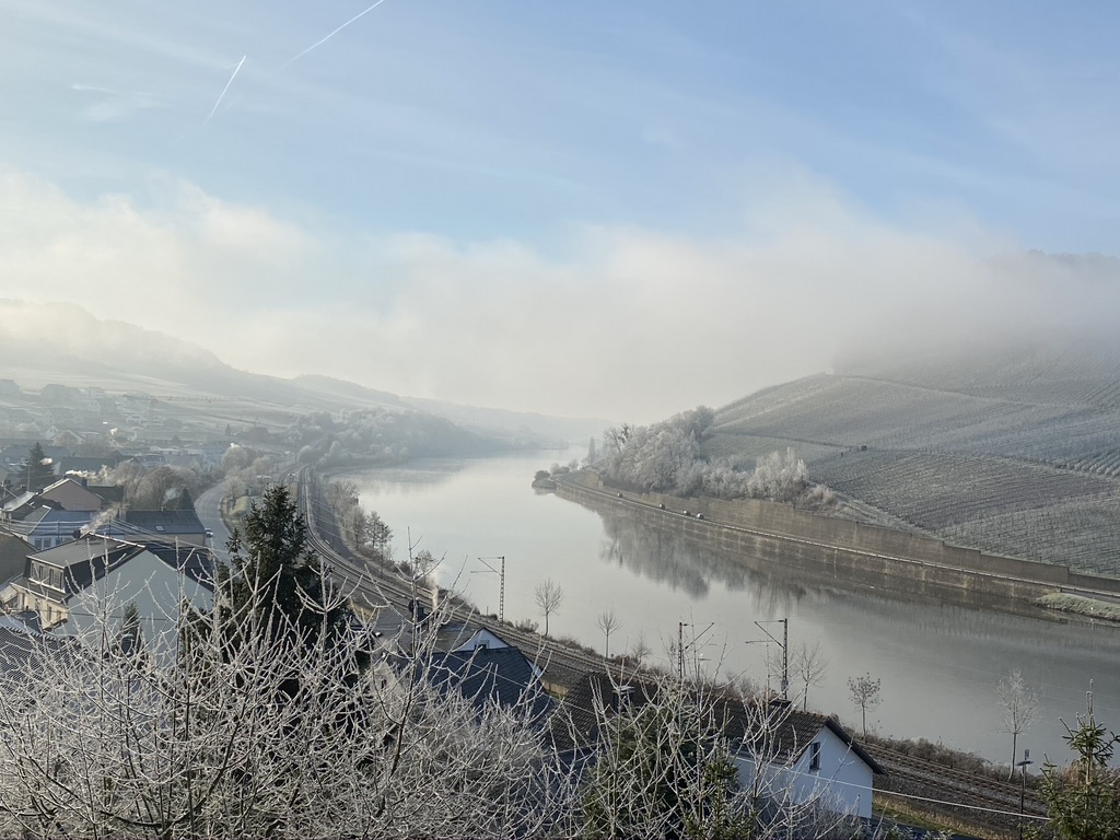 En savoir plus sur Vanina Henry