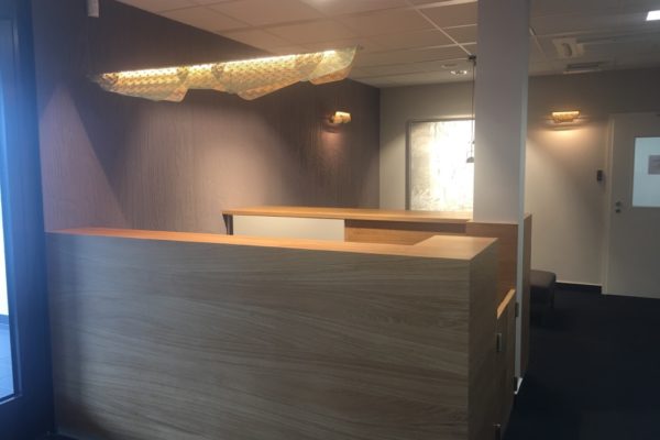 Vanina henry_interior design_projekt Luxembourg_office design-homestaging