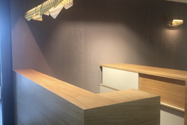 Vanina henry_interior design_projekt Luxembourg_office design-homestagingUNADJUSTEDNONRAW_thumb_12fa